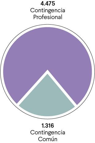 pruebasrealizadas